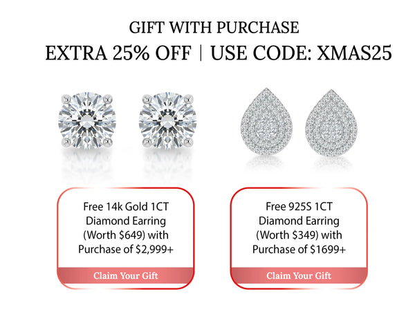 Christmas Special Offer