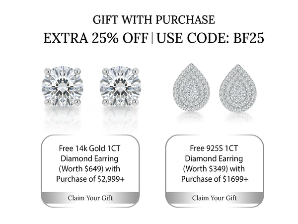 Christmas Special Offer